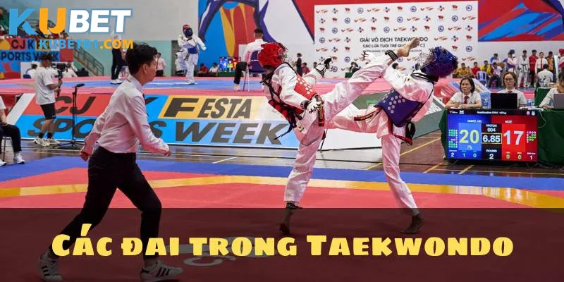 Các đai trong Taekwondo: Từ đai trắng đến đai đỏ đen